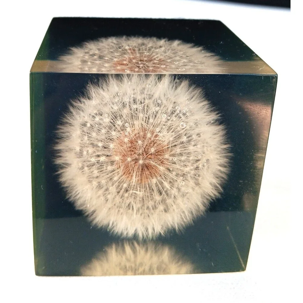 Vintage Dandelion Lucite Resin Cube Paperweight  Shoreline 2 3/8